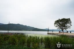 들꽃 속으로 떠나는 두물머리 양평여행