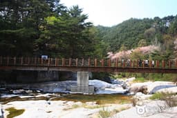 분홍빛 능선을 걷다.