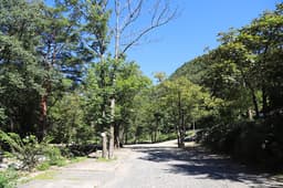 하늘빛계곡 캠핑장