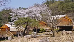 청풍월드니스글램핑