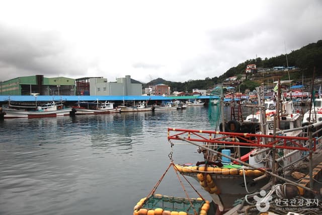 Image 11