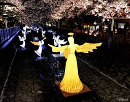 여좌천로망스다리(로망스다리)