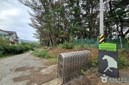 포항동해승마장