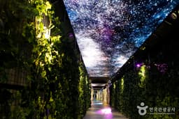 자연 속에서 즐기는 스릴 만점 레저 여행