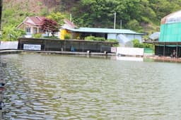 감악산낚시터레저타운