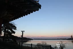 호수에서 즐기는 벚꽃 산책