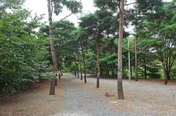 계곡과소나무 펜션