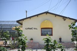 힐링로드(청하체리힐, 드로잉체리공방/누나서프/HJ디저트)