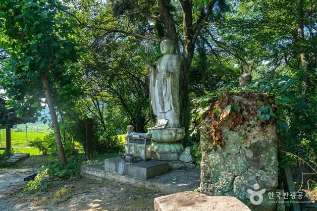 Image 6