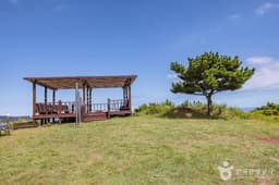 [제주올레 2코스] 광치기-온평 올레