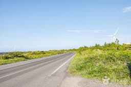 월정리해안도로