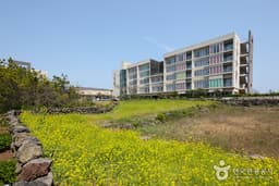 휘닉스 아일랜드