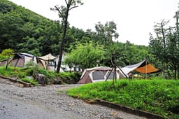 용인자연숲캠핑장