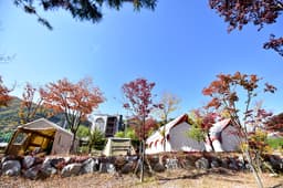 힐링가평오토캠핑장