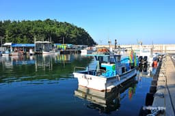 백도항/문암1리항