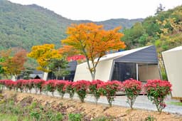 큐브빌리지글램핑