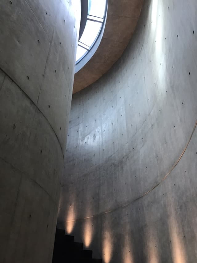Image 14