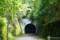 색현터널