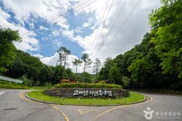 고대산자연휴양림