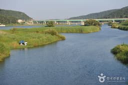 황룡강을 따라 걷는 전남 장성 여행