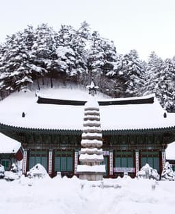 오대산 설경을 ‘천상의 극치’라 부른다