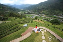 하동 천년차밭길