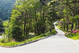 진동리 국민여가캠핑장