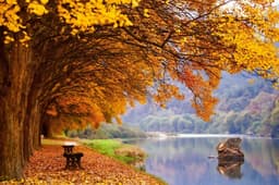 송호국민관광지 야영장