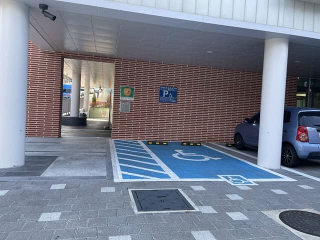 Image 7