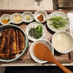 부산에 뜬 장어