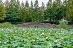 봉담호수공원