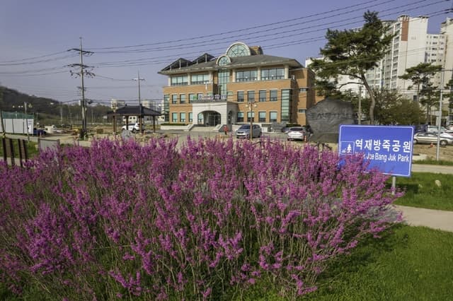 Image 5