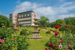 경북대학교박물관