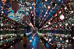 단양 수양개빛터널