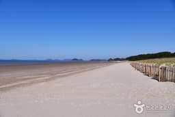 기지포해수욕장