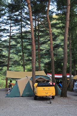 사랑나무캠핑장