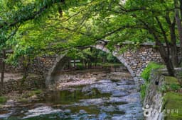 여수 흥국사 홍교