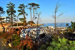 사나래카라반펜션 감포점