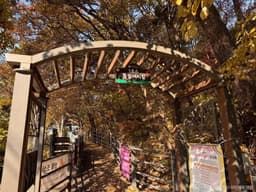 [치악산 둘레길 1코스] 꽃밭머리길