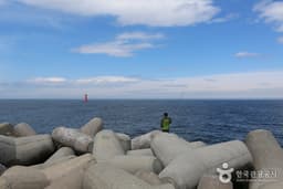 동해의 바다낚시 코스