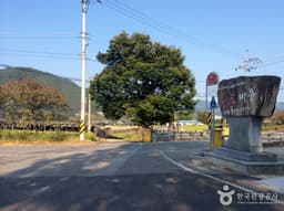 충남 금산 약초 인삼 쇼핑코스