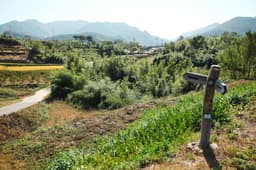 [지리산둘레길] 오미-난동