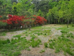 명봉산 솔밭관광농원 오토캠핑장