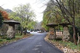 유치자연휴양림