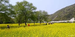 옥천금강수변 친수공원