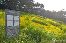 고창 분청사기요지