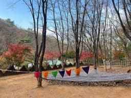 청사초롱 유아숲체험원