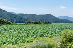 경안천 습지생태공원