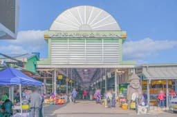 제주시민속오일시장 (2, 7일)