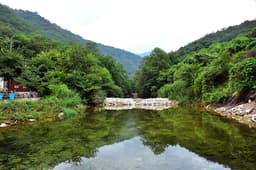 포천계곡캠핑장